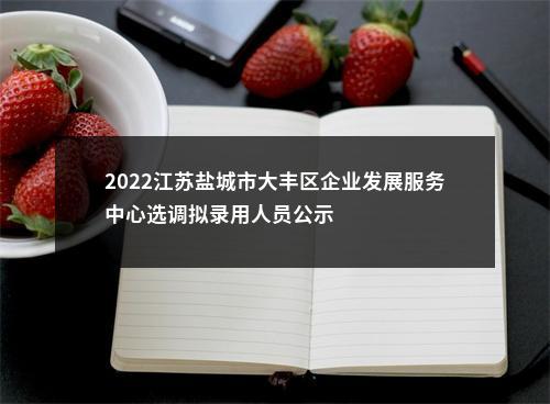 2022江苏盐城市大丰区企业发展服务中心选调拟录用人员公示                进入阅读模式 图片