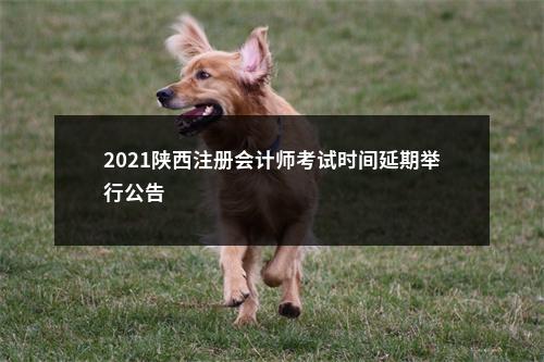 2021陕西注册会计师考试时间延期举行公告                进入阅读模式 图片