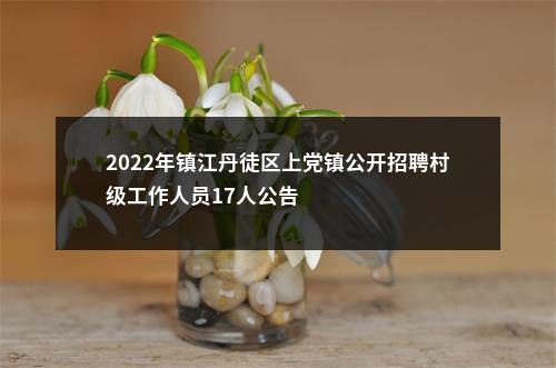 2022年镇江丹徒区上党镇公开招聘村级工作人员17人公告                进入阅读模式 图片