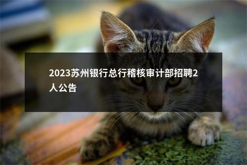 2023苏州银行总行稽核审计部招聘2人公告                进入阅读模式 图片
