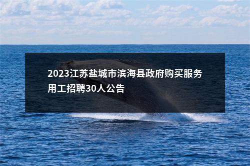 2023江苏盐城市滨海县政府购买服务用工招聘30人公告                进入阅读模式 图片