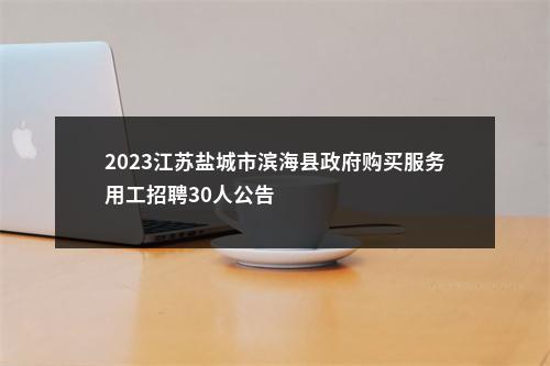 2023江苏盐城市滨海县政府购买服务用工招聘30人公告                进入阅读模式 图片