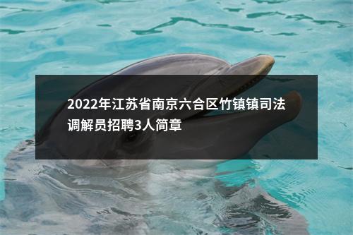 2022年江苏省南京六合区竹镇镇司法调解员招聘3人简章                进入阅读模式 图片