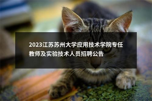 2023江苏苏州大学应用技术学院专任教师及实验技术人员招聘公告                进入阅读模式 图片