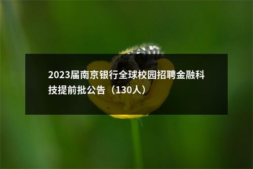 2023届南京银行全球校园招聘金融科技提前批公告（130人）                进入阅读模式 图片